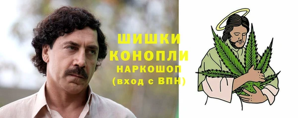 хмурый Ладушкин
