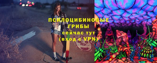 хмурый Ладушкин