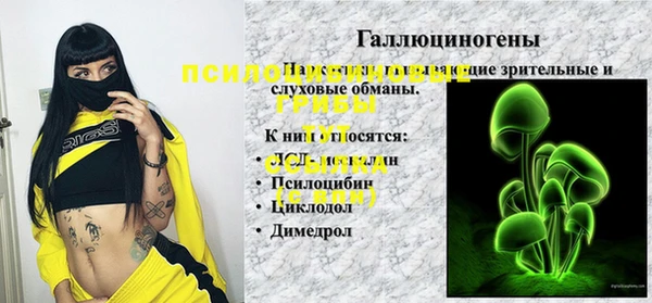 хмурый Ладушкин