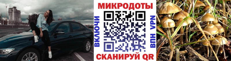 где продают наркотики  Никольское  Псилоцибиновые грибы Magic Shrooms 